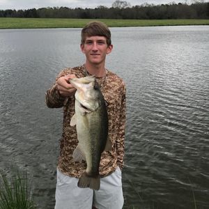 Meet your Posher, Dylan